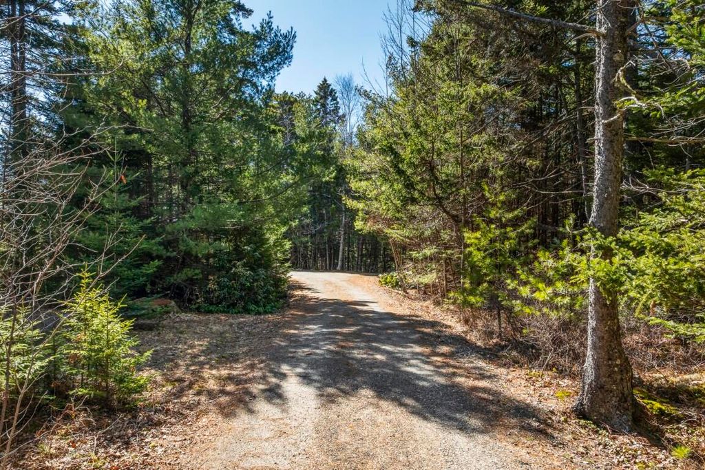 Photo of 527 Cape Newagen Road, Southport, ME 04576 (MLS # 1658090)
