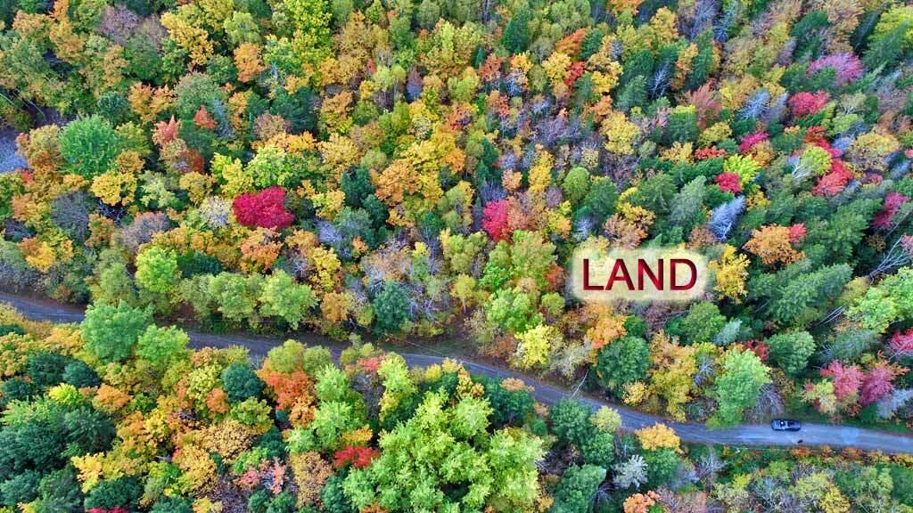 Lot 12 Winter Road