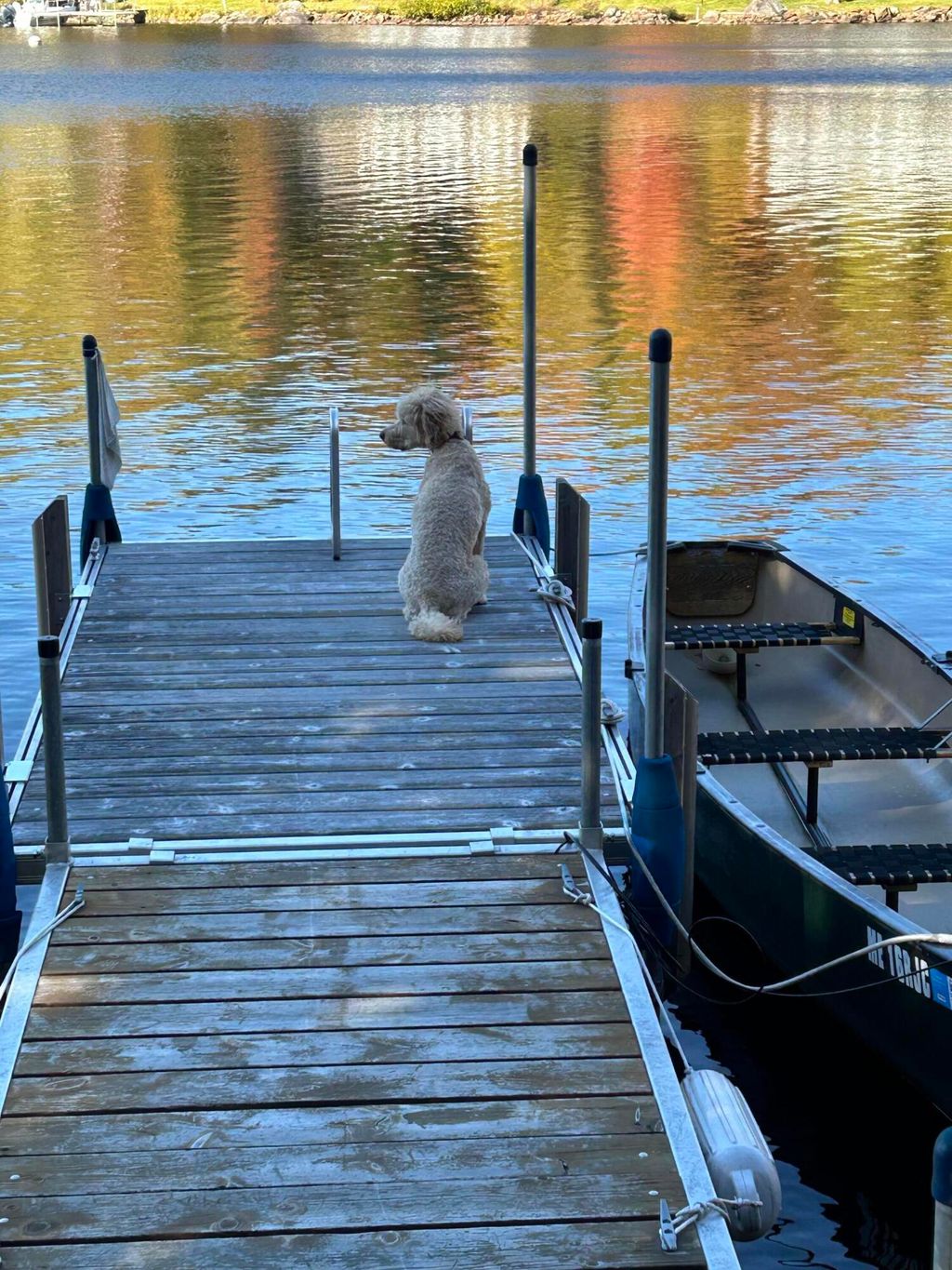 Photo of 3 Wick Up Lane, Sandy River Plt, ME 04970 (MLS # 1640478)