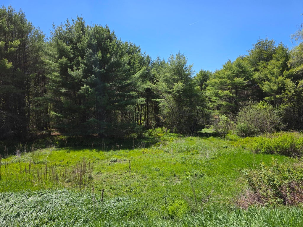Photo of 5 Goose River Estates, Swanville, ME 04915 (MLS # 1663790)