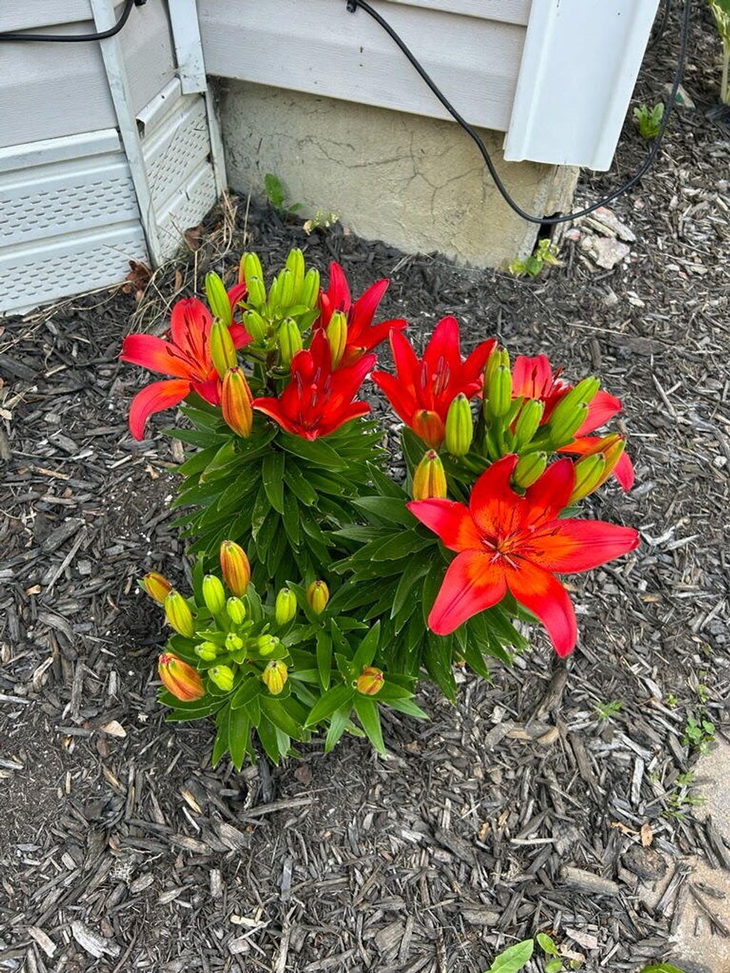 Photo of 100 3rd Street, Bangor, ME 04401 (MLS # 1649706)