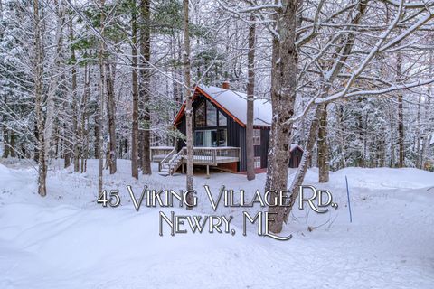 Photo of 45 Viking Village Road, Newry, ME 04261 (MLS # 1655463)