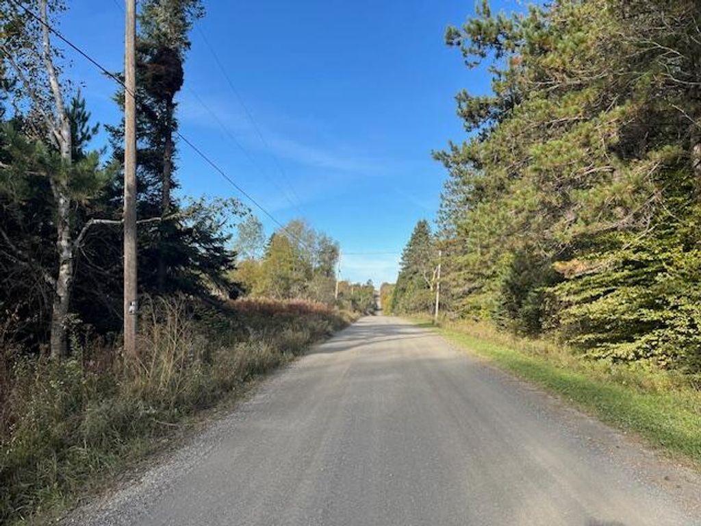 Photo of 249 Madawaska Road, New Sweden, ME 04762 (MLS # 1650466)