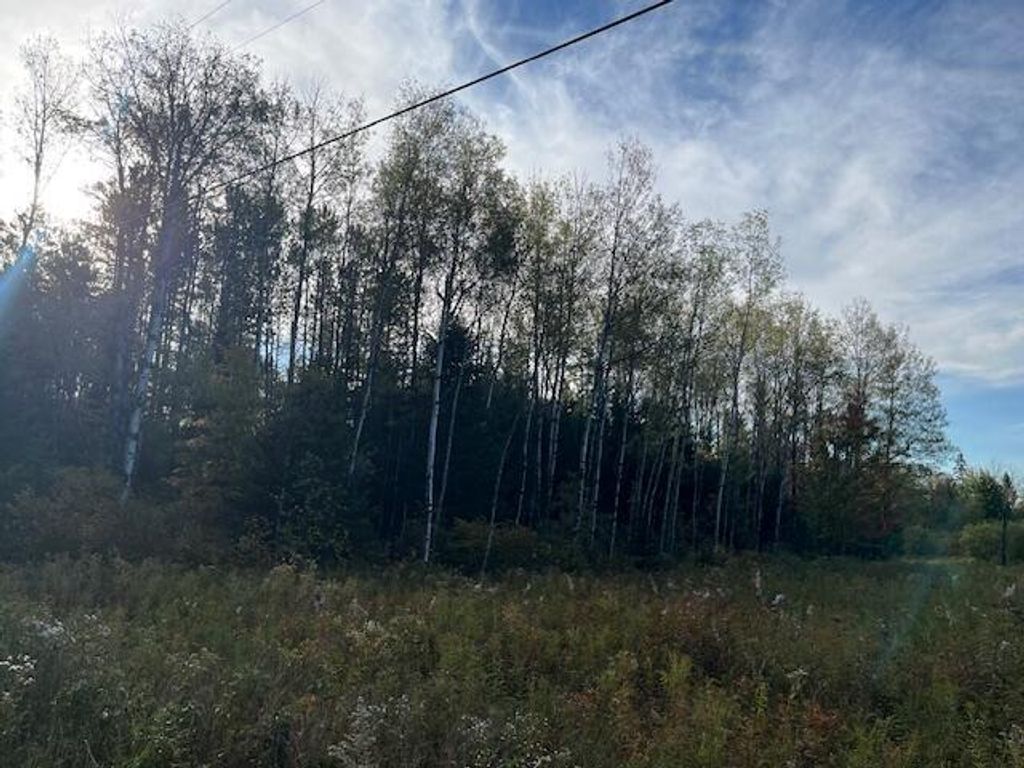 Photo of 249 Madawaska Road, New Sweden, ME 04762 (MLS # 1650466)