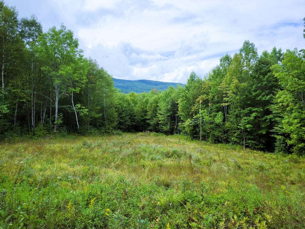Photo of 672 Meadow Lane, Rumford, ME 04276 (MLS # 1659077)