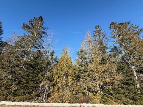 Photo of Lot 31 Gin Cove Road, Perry, ME 04667 (MLS # 1649167)
