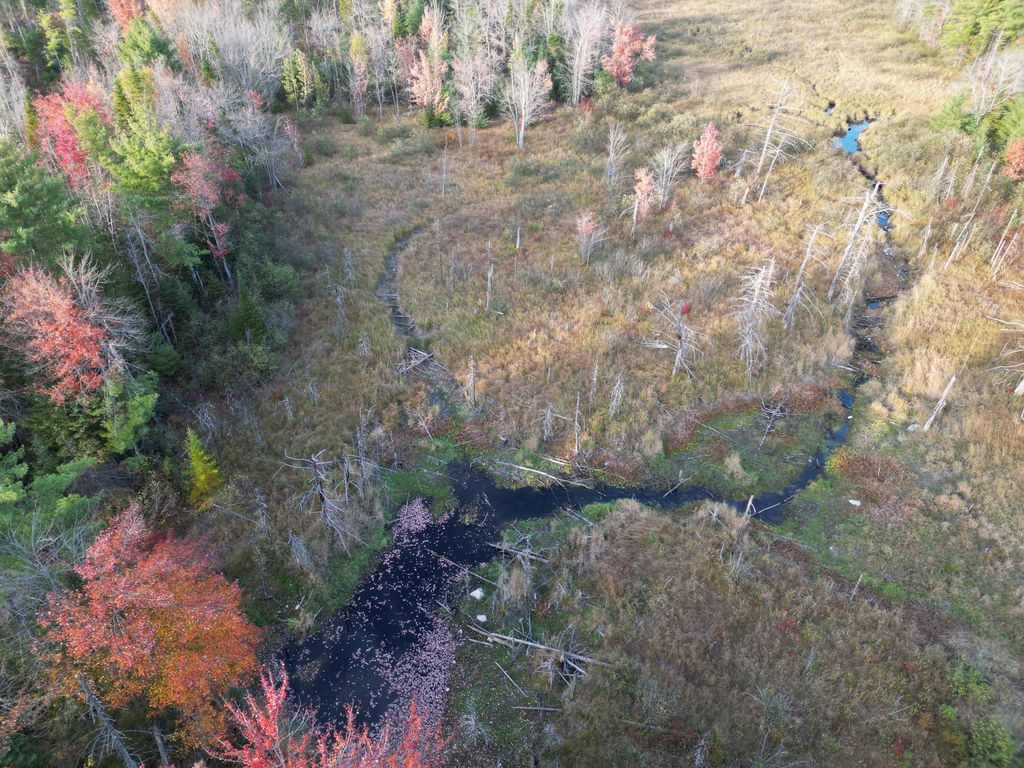Photo of Off Basford Road, Detroit, ME 04929 (MLS # 1640461)