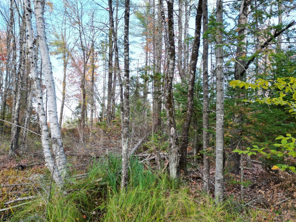 Photo of Off Basford Road, Detroit, ME 04929 (MLS # 1640461)