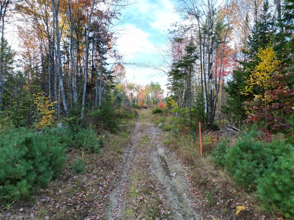Photo of Off Basford Road, Detroit, ME 04929 (MLS # 1640461)