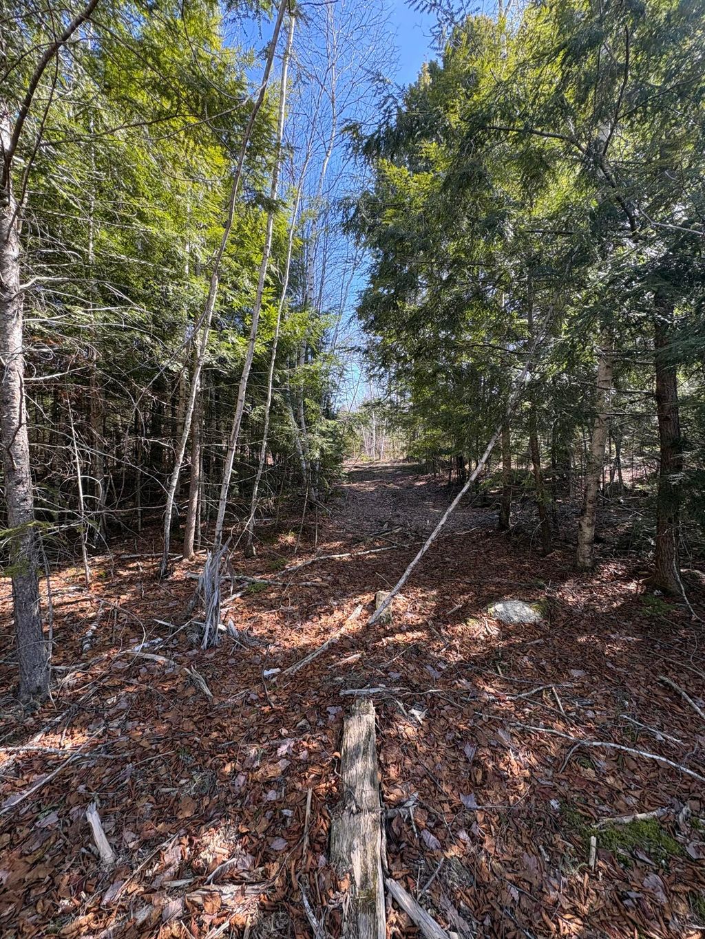 Photo of Lot 116 Bass Overlook, Waltham, ME 04605 (MLS # 1654817)