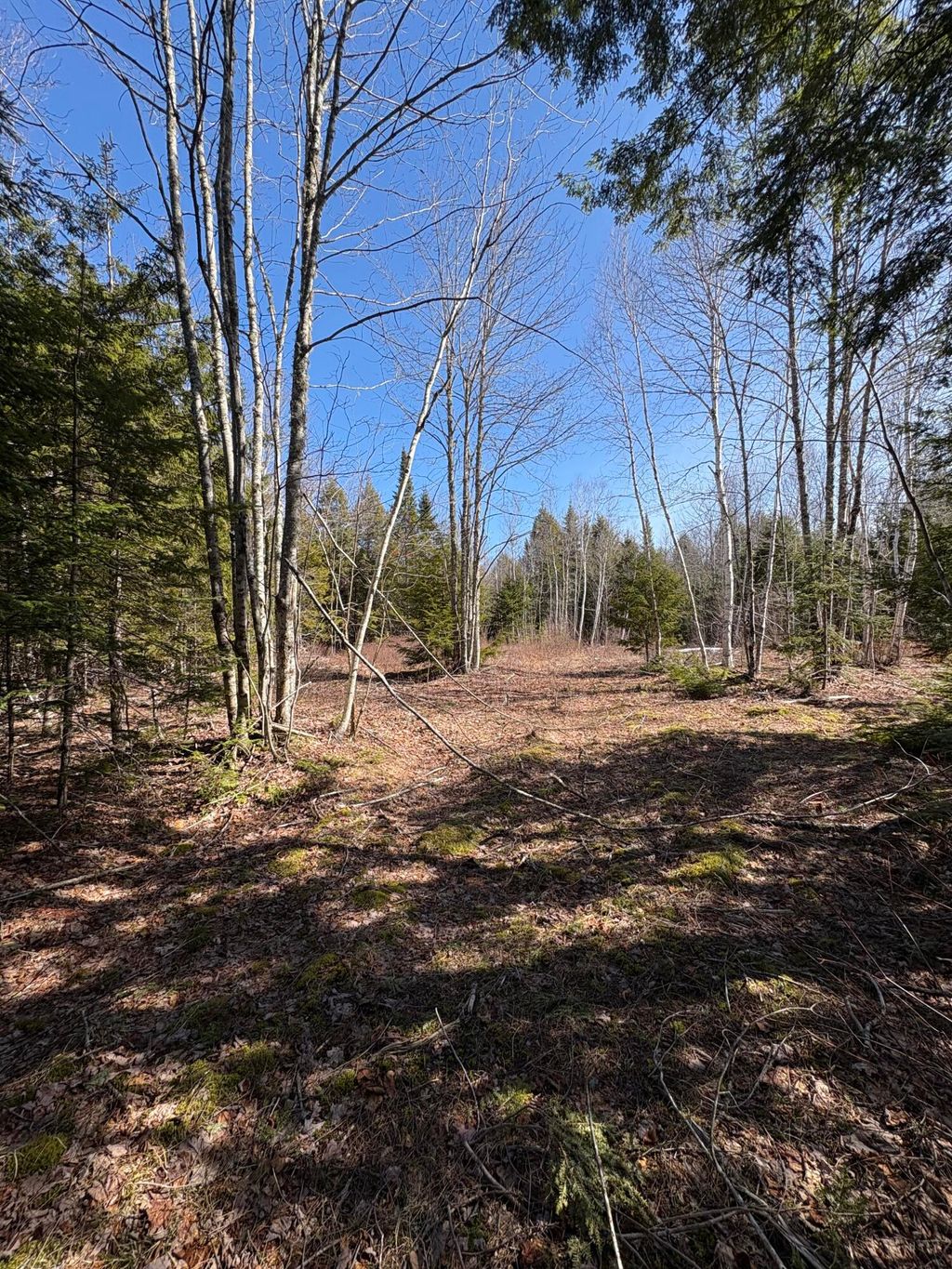 Photo of Lot 116 Bass Overlook, Waltham, ME 04605 (MLS # 1654817)