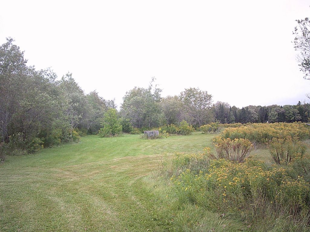 Photo of 599 Access Highway, Limestone, ME 04750 (MLS # 1636740)
