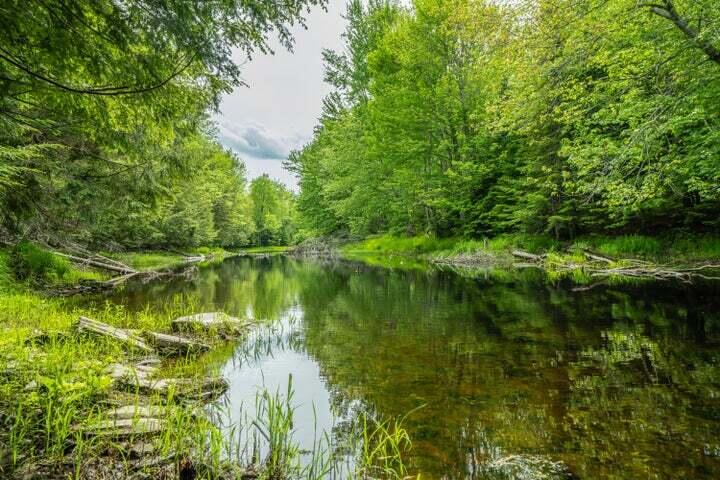 Photo of Lot 88-1 Appleton Ridge Road, Searsmont, ME 04973 (MLS # 1662006)
