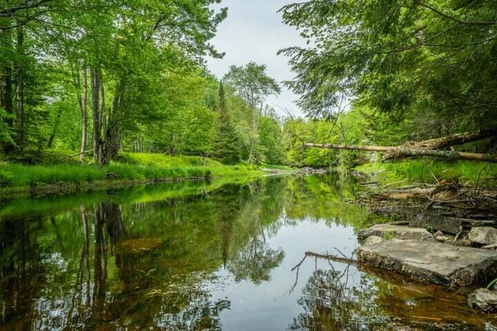 Photo of Lot 88-1 Appleton Ridge Road, Searsmont, ME 04973 (MLS # 1662006)