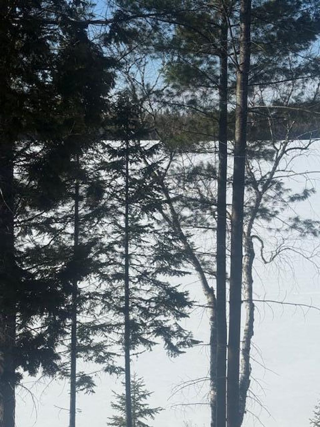 Photo of 1021 S Shore Road, Stockholm, ME 04783 (MLS # 1657199)