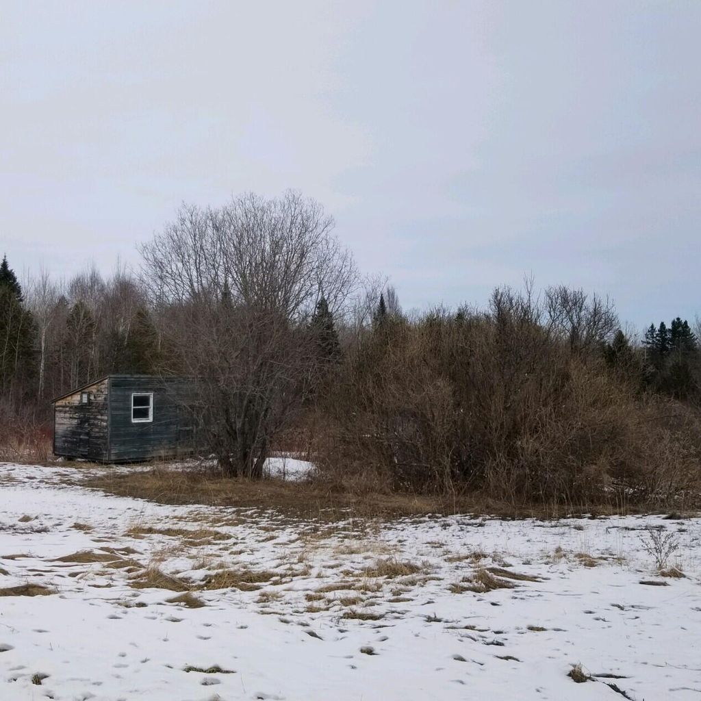 Photo of 381 Bubar Road, Blaine, ME 04734 (MLS # 1583609)