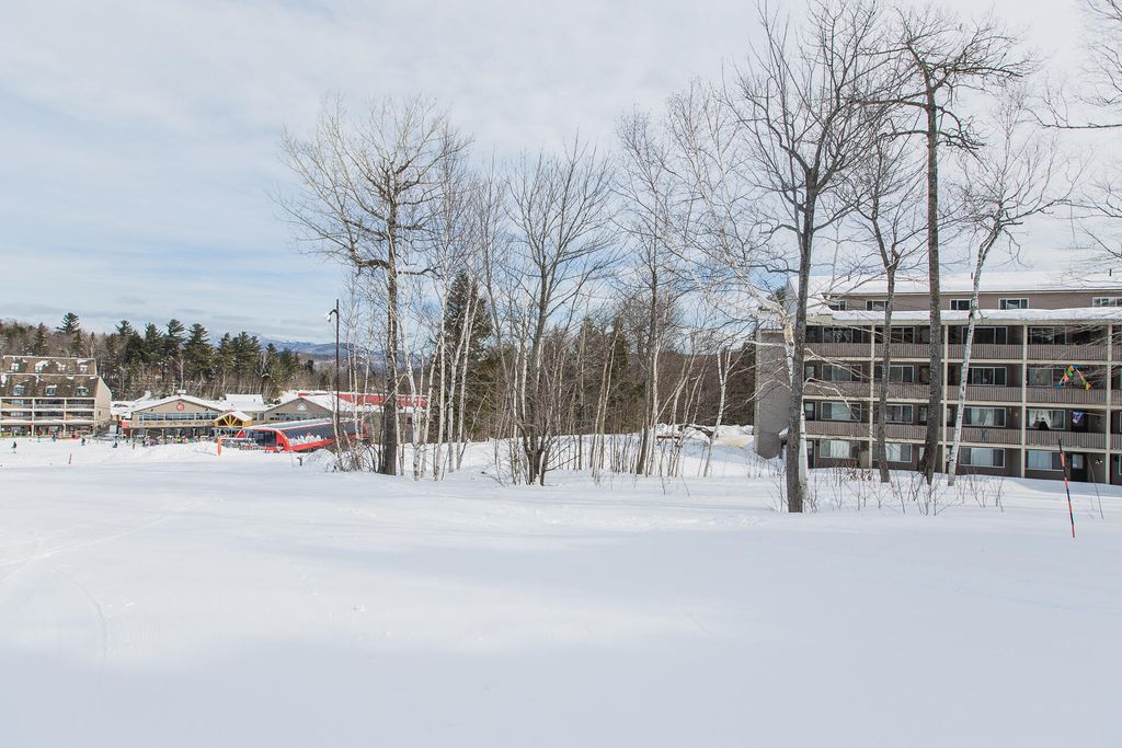 Photo of 8 Cascade Drive #C17, Newry, ME 04261 (MLS # 1640501)