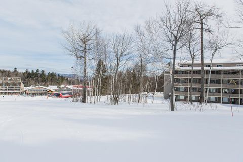 Photo of 8 Cascade Drive #C17, Newry, ME 04261 (MLS # 1640501)