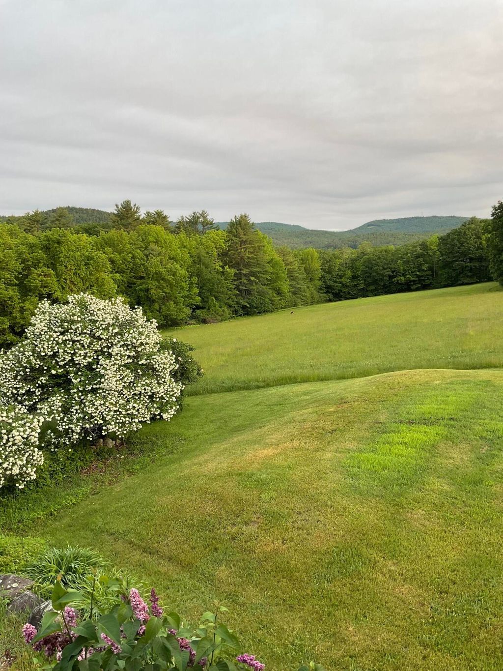 Photo of 188 Mill Hill Road, Waterford, ME 04088 (MLS # 1657079)