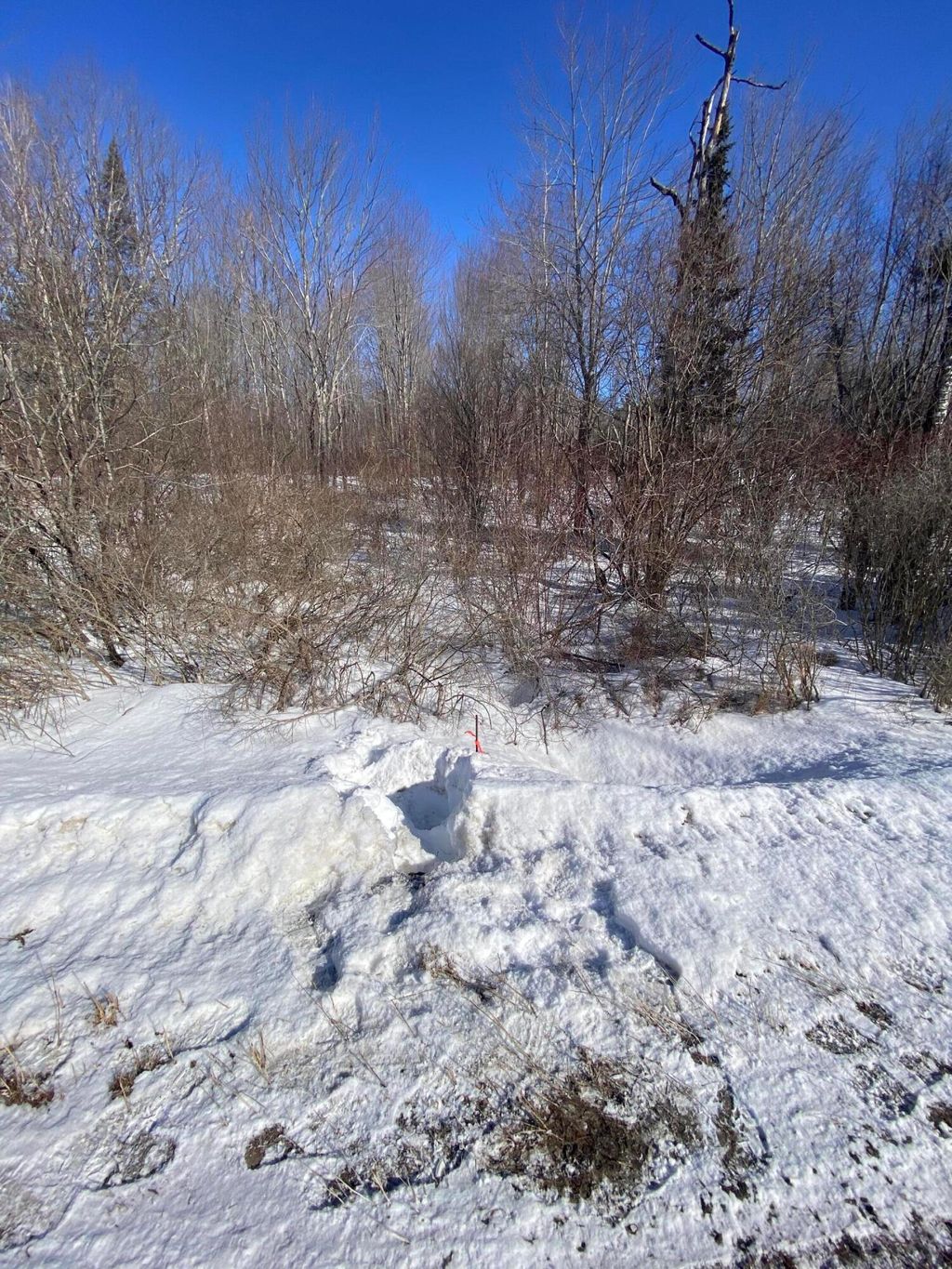 Photo of 104 Langdon Road, Richmond, ME 04357 (MLS # 1651926)