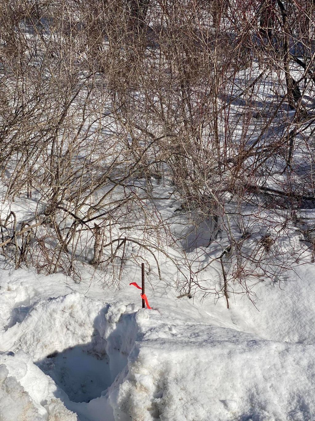 Photo of 104 Langdon Road, Richmond, ME 04357 (MLS # 1651926)