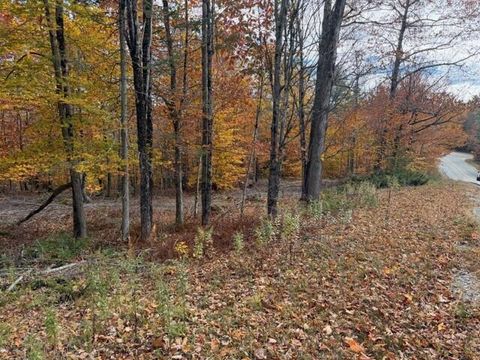 Photo of Lot 40-02 Litchfield Road, Bowdoin, ME 04287 (MLS # 1642074)
