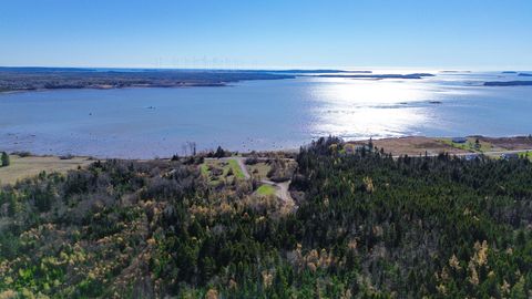 Photo of Lot 5 Holmes Bay Farm, Whiting, ME 04691 (MLS # 1642749)