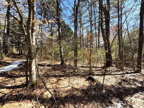Photo of Lot 5 Lords Hill Road, Brownfield, ME 04010 (MLS # 1654937)