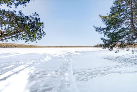 Photo of M 14 L 09 Whites Pond Camp Road, Palmyra, ME 04965 (MLS # 1652383)