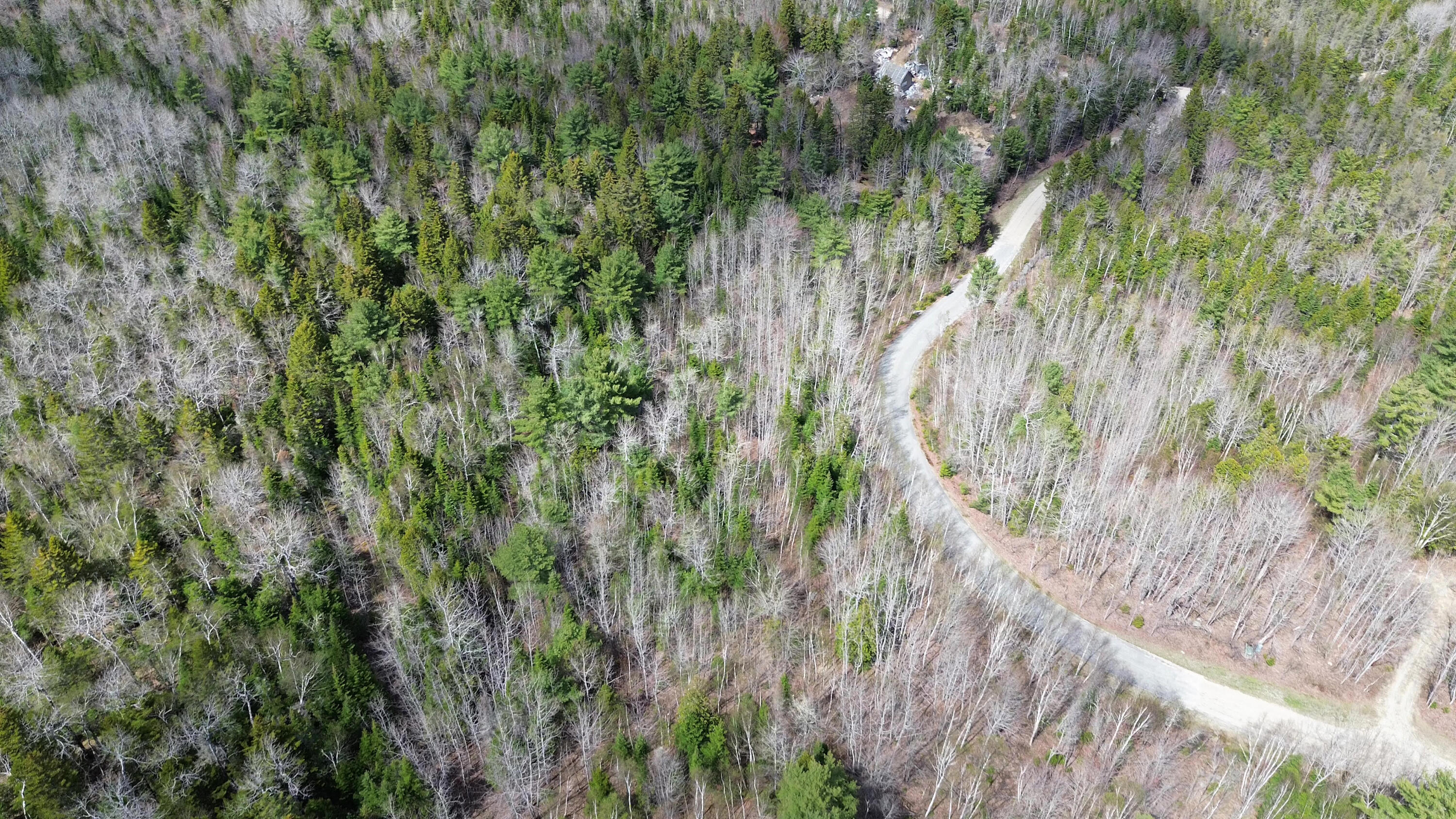 Lot20-20 Bailey Mountain Road