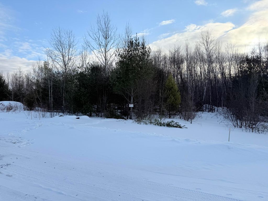 Photo of Lot #12 Greenville Steam Road, Greenville, ME 04441 (MLS # 1653058)