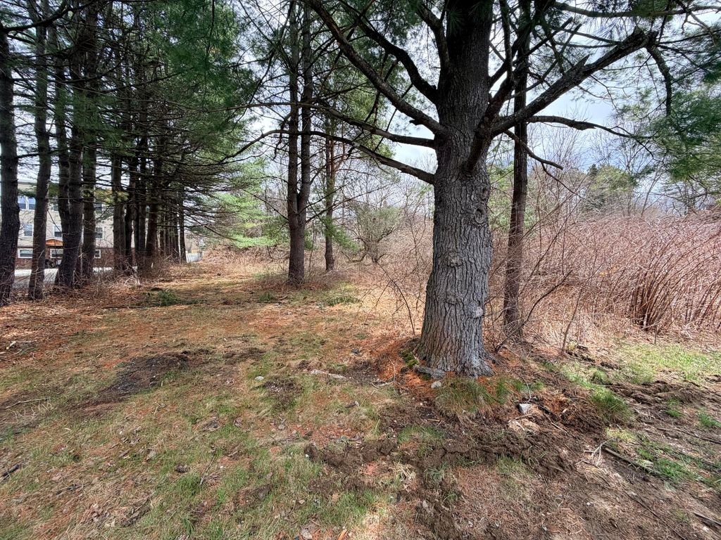 Photo of 153 Cottage Street, Lewiston, ME 04240 (MLS # 1660514)