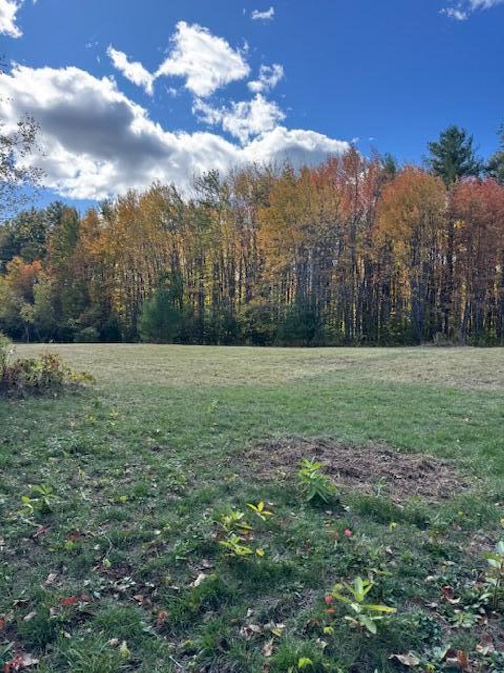 Photo of Lot 1 Oak Hill Road, Smithfield, ME 04978 (MLS # 1639895)