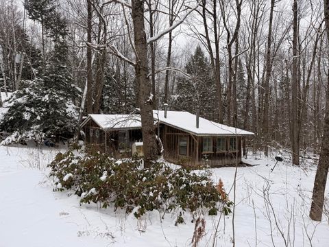 Photo of 186 Transalpine Road, Lincoln, ME 04457 (MLS # 1657542)
