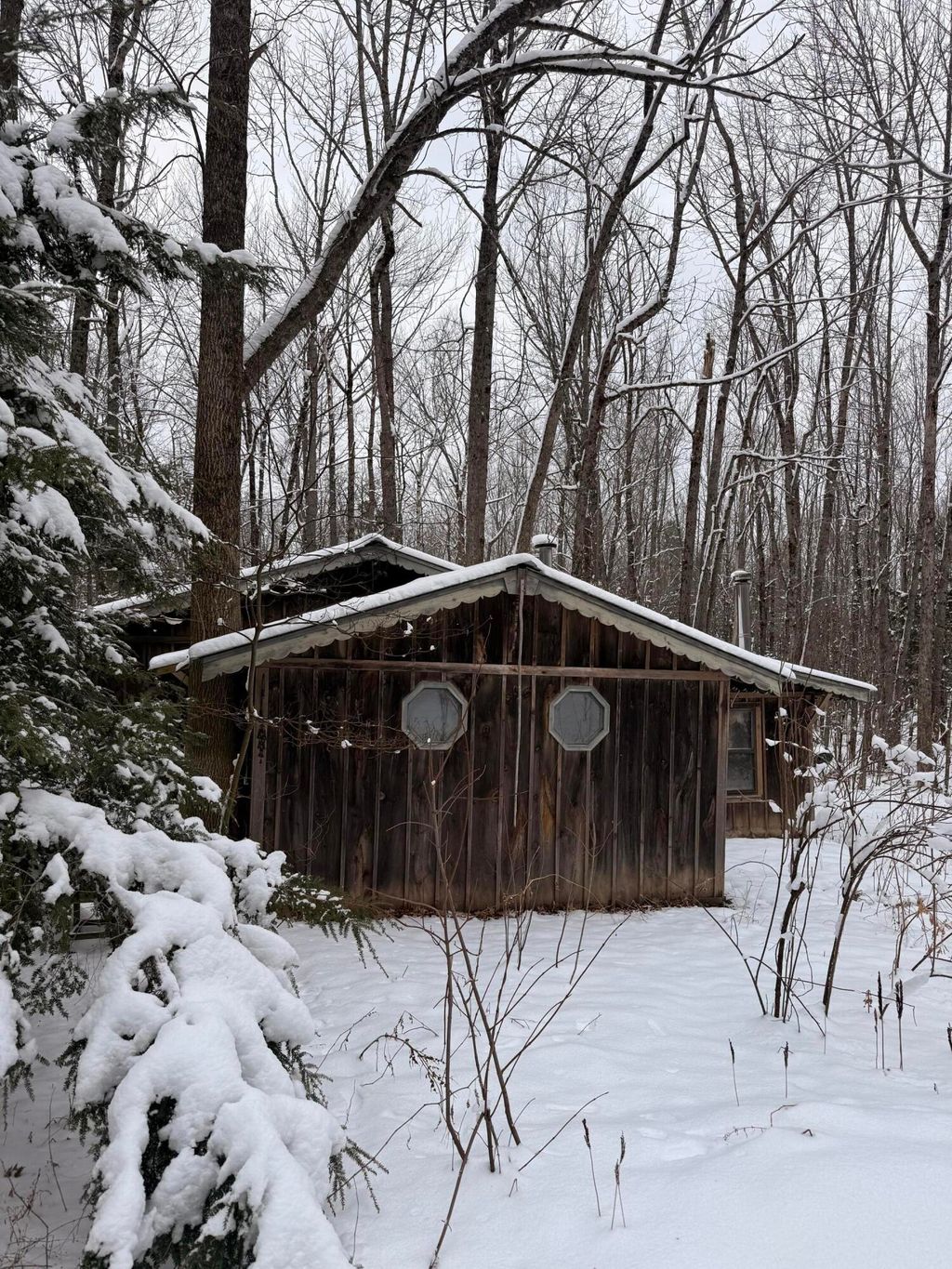 Photo of 186 Transalpine Road, Lincoln, ME 04457 (MLS # 1657542)