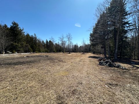 Photo of Lot #0 Morgan Bay Road, Surry, ME 04684 (MLS # 1657307)