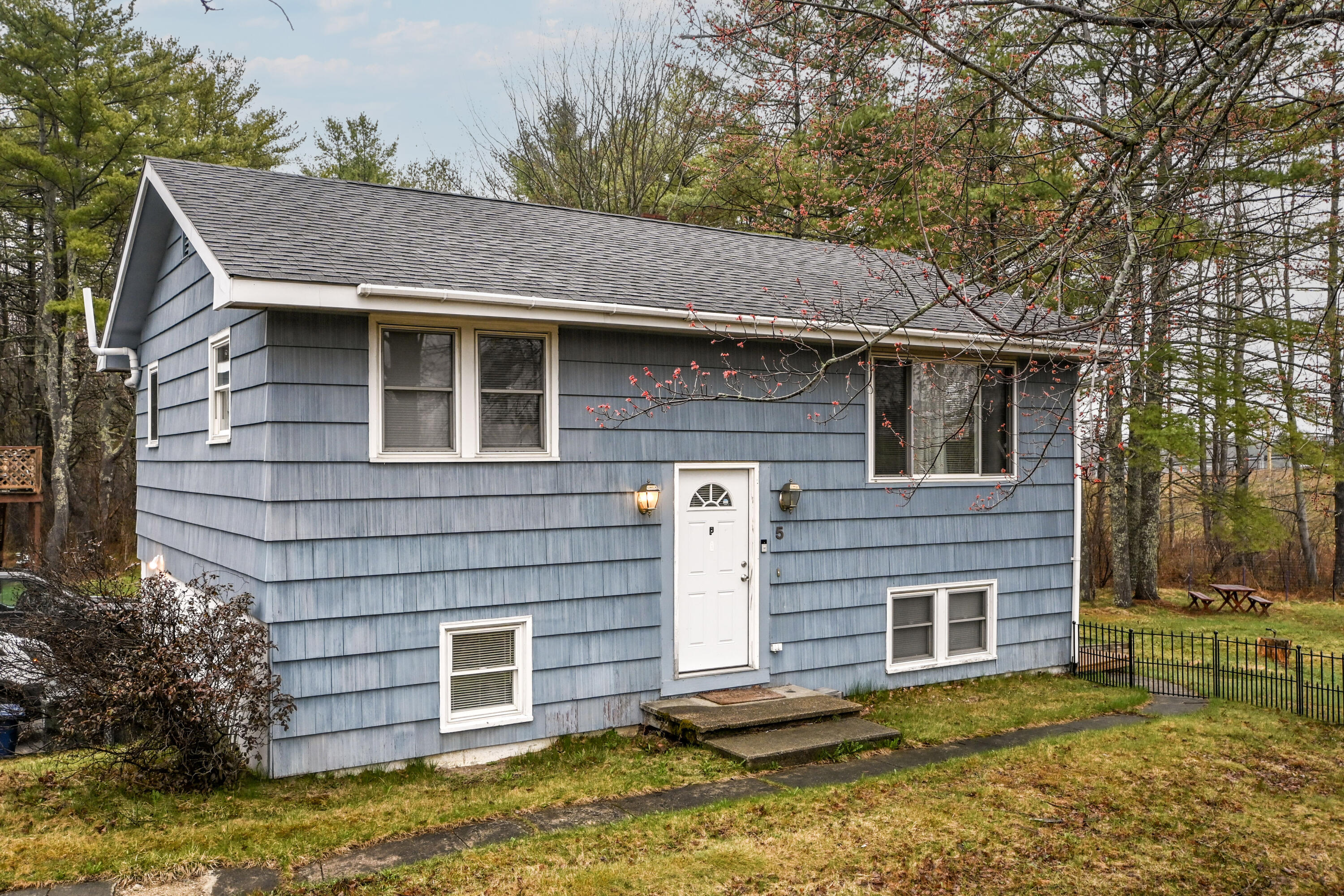 5 Buxton Road