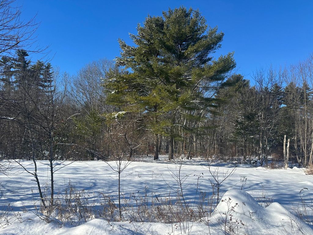 Photo of M:18L:20-4 Main Street, Fryeburg, ME 04037 (MLS # 1644716)