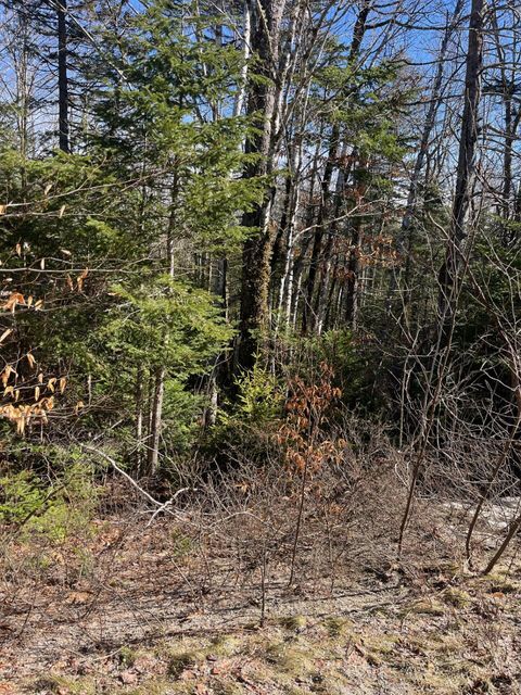 Photo of 0 E Side Road, Steuben, ME 04680 (MLS # 1654543)