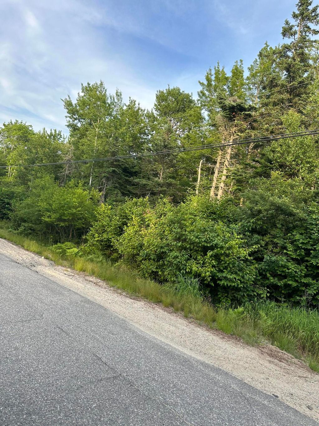 Photo of Cherryfield, ME 04622 (MLS # 1654738)