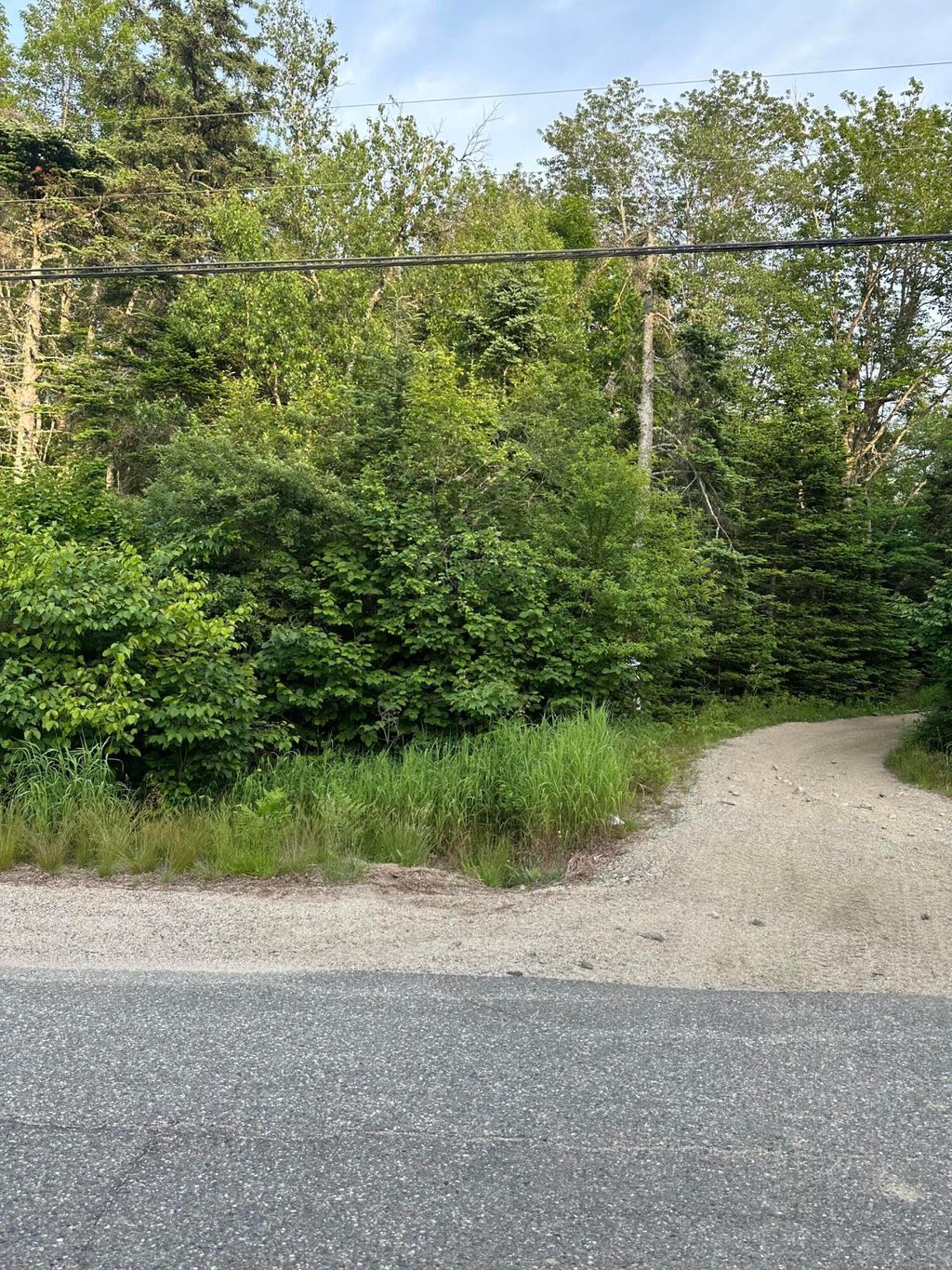 Photo of Cherryfield, ME 04622 (MLS # 1654738)