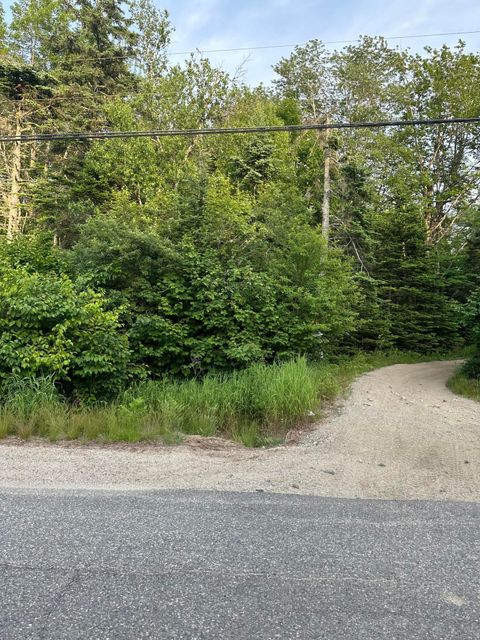 Photo of Cherryfield, ME 04622 (MLS # 1654738)