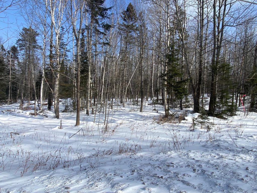 Photo of 47 Greenville Road #Lot 2, Shirley, ME 04485 (MLS # 1649619)