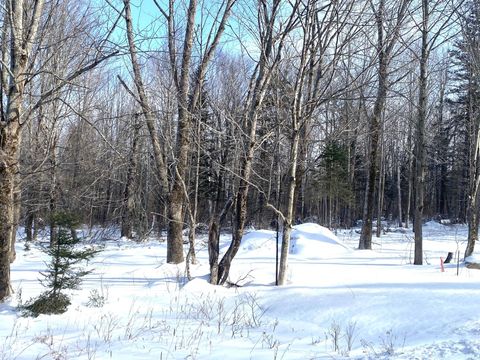 Photo of 47 Greenville Road #Lot 2, Shirley, ME 04485 (MLS # 1649619)