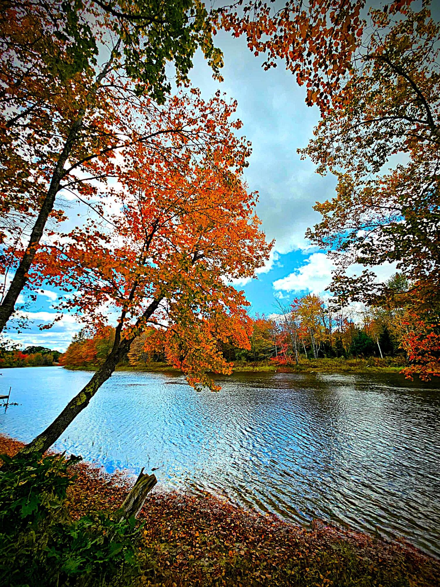 Ellsworth, Maine 04605, United States, 4 Bedrooms Bedrooms, ,3 BathroomsBathrooms,Residential,Active,175608