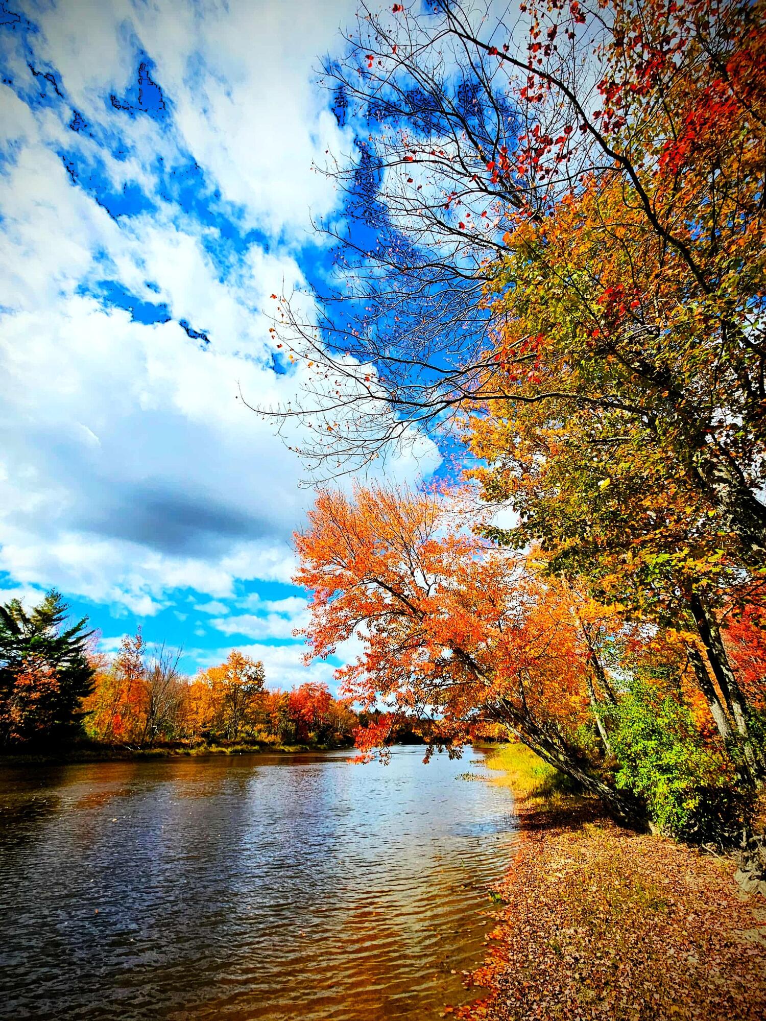 Ellsworth, Maine 04605, United States, 4 Bedrooms Bedrooms, ,3 BathroomsBathrooms,Residential,Active,175608