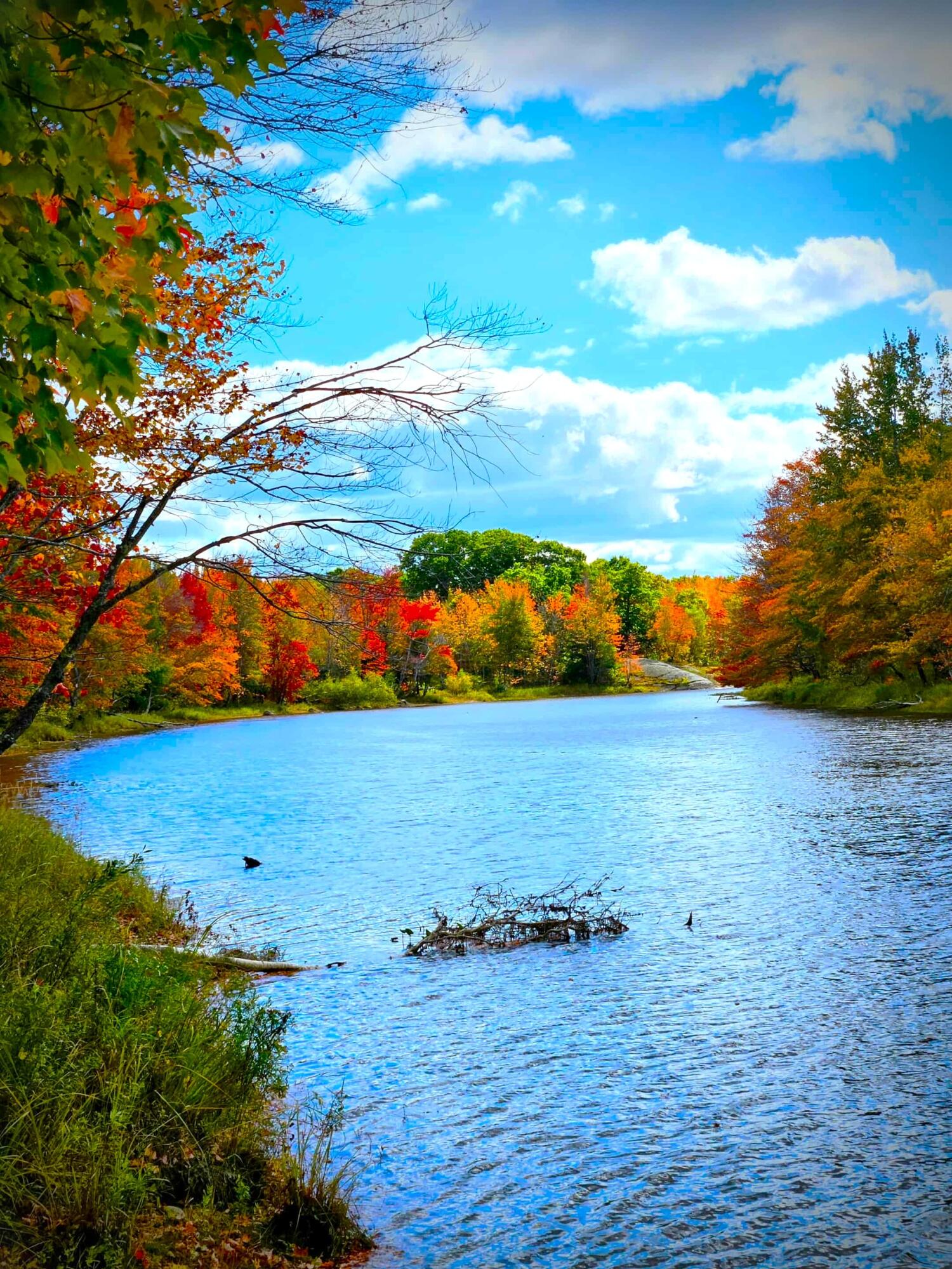 Ellsworth, Maine 04605, United States, 4 Bedrooms Bedrooms, ,3 BathroomsBathrooms,Residential,Active,175608