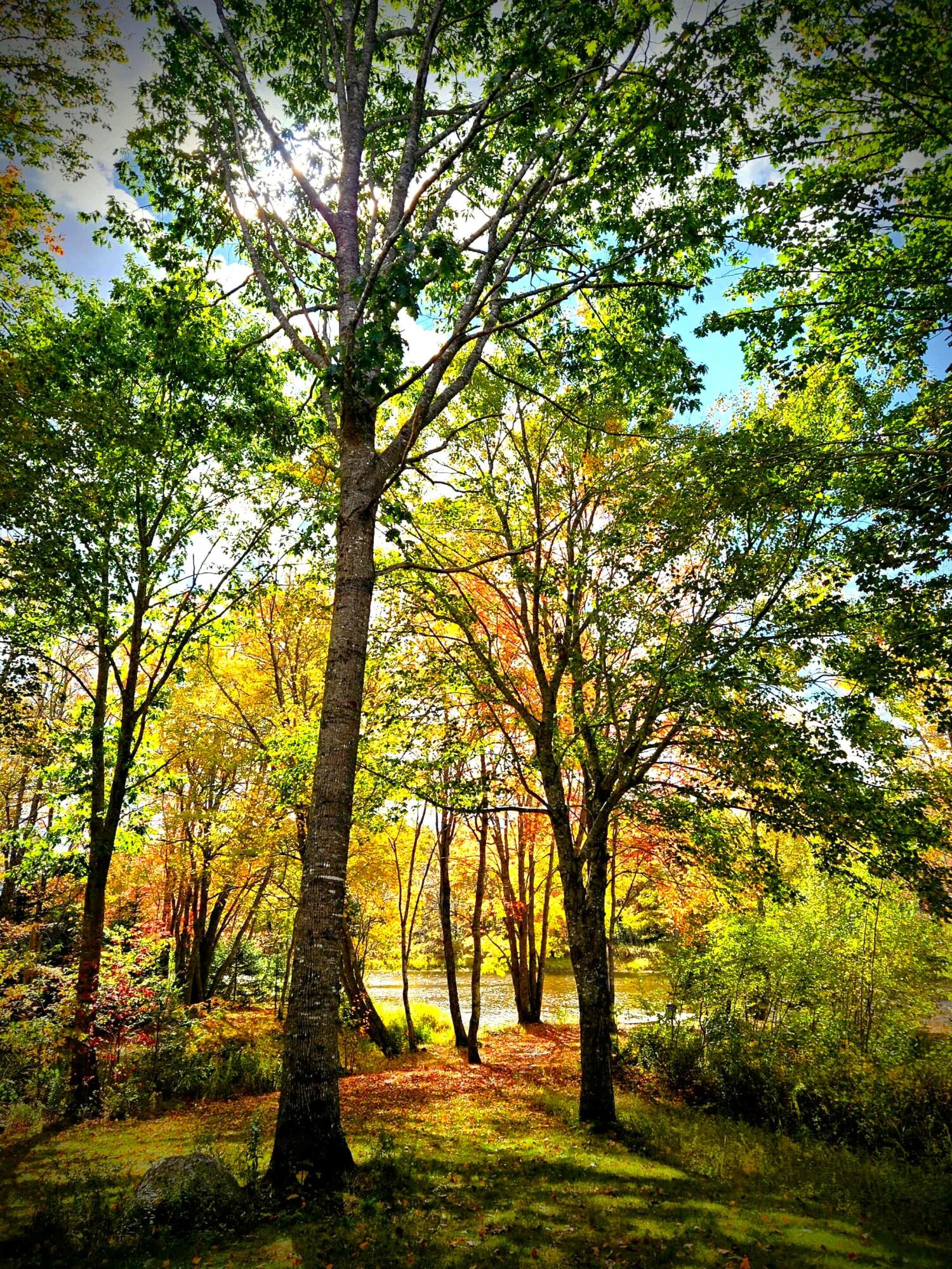 Ellsworth, Maine 04605, United States, 4 Bedrooms Bedrooms, ,3 BathroomsBathrooms,Residential,Active,175608