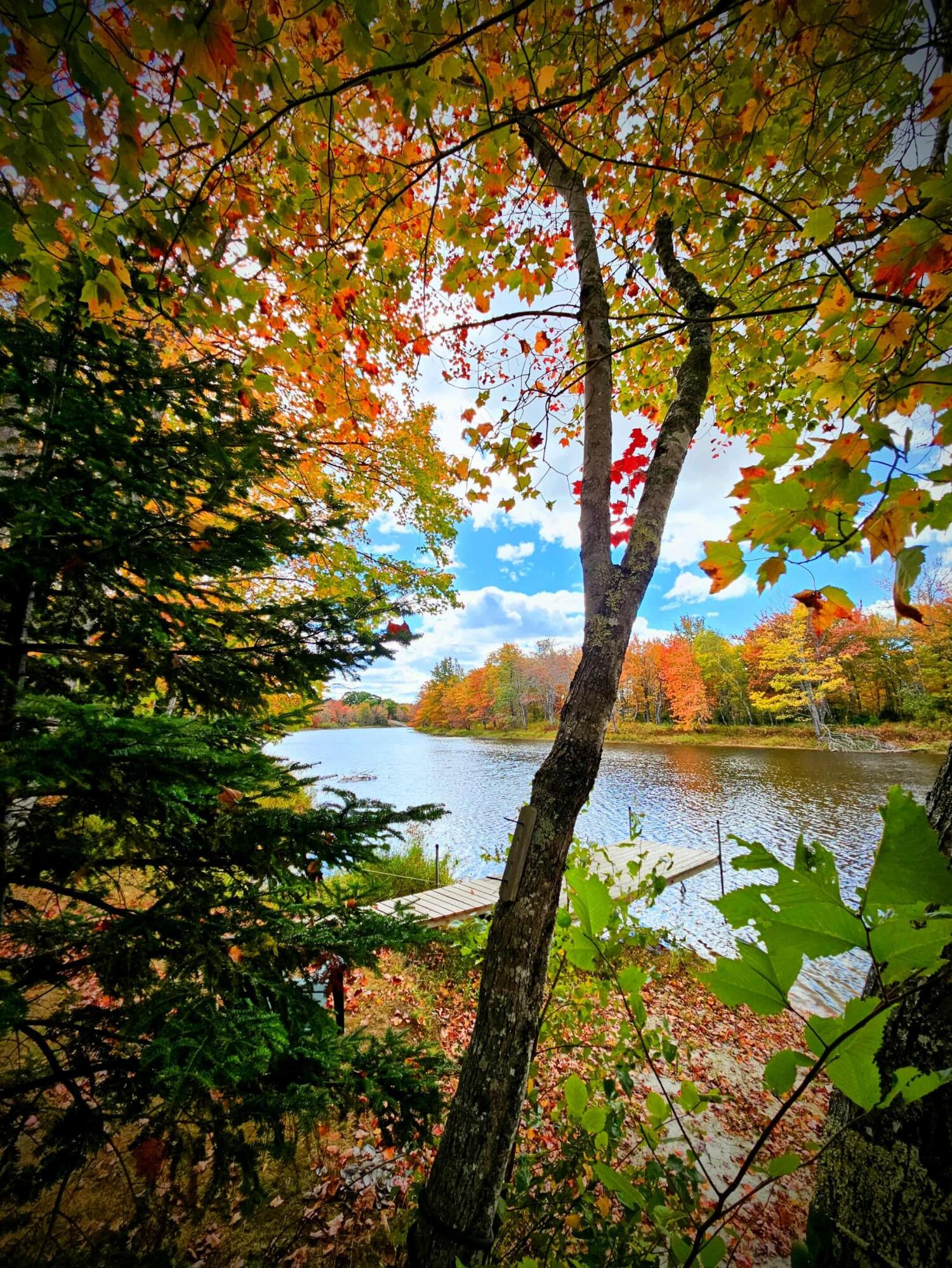 Ellsworth, Maine 04605, United States, 4 Bedrooms Bedrooms, ,3 BathroomsBathrooms,Residential,Active,175608