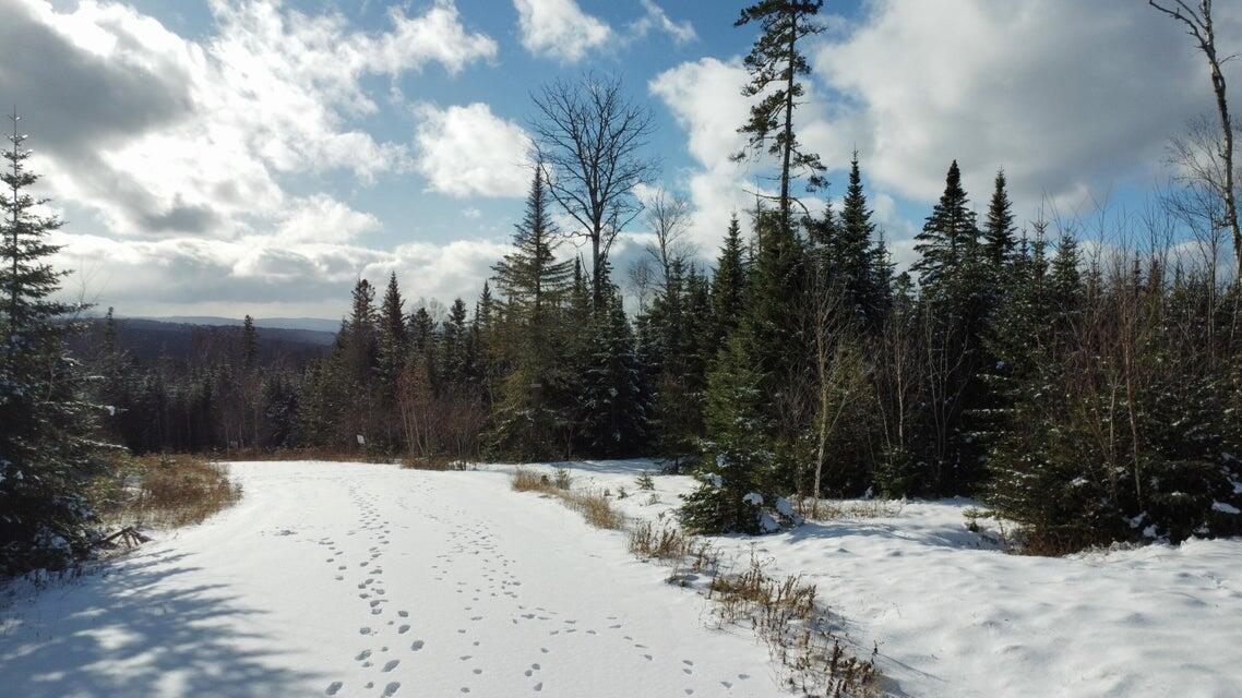 Map 4/31-A Palmer Way